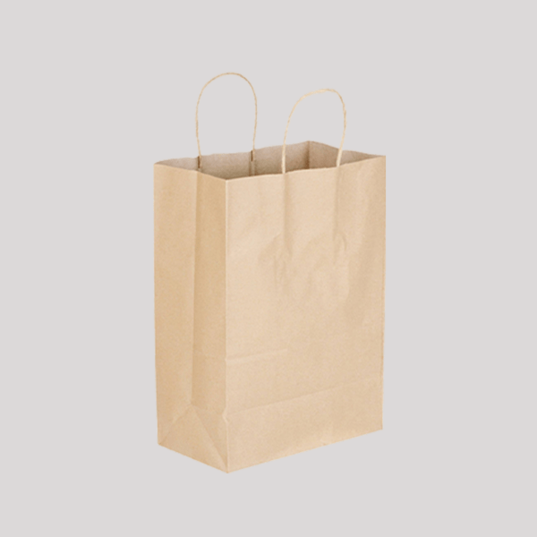 50 Classic A4 Kraft Paper Bags With handles