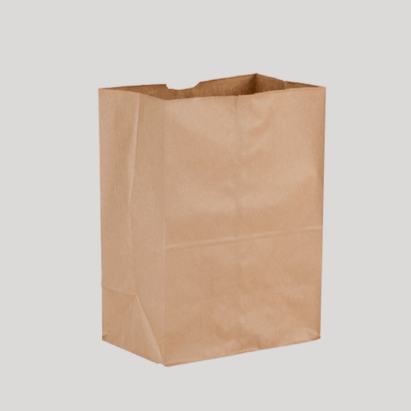 50 Classic A4 Kraft Paper Bags Without handles