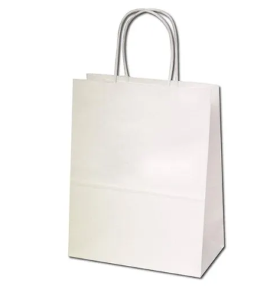 white-kraft-paper-bags-500x500